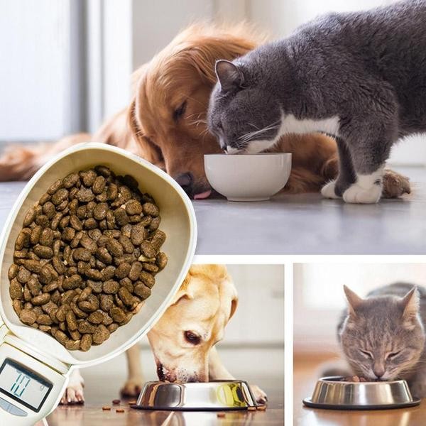 Balance Alimentaire Numérique Pour Animaux Domestiques (chien et chat)