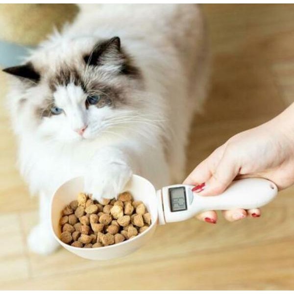 Balance Alimentaire Numérique Pour Animaux Domestiques (chien et chat)