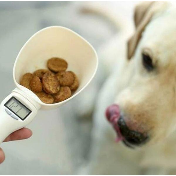 Balance Alimentaire Numérique Pour Animaux Domestiques (chien et chat)